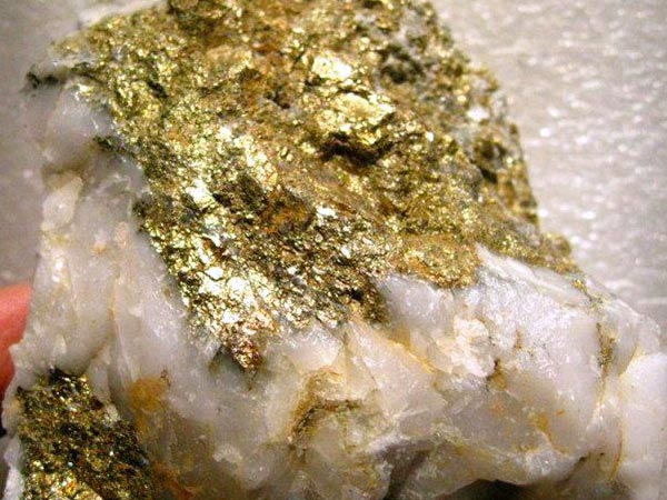 裸露在外的金礦 裸露在外的金礦